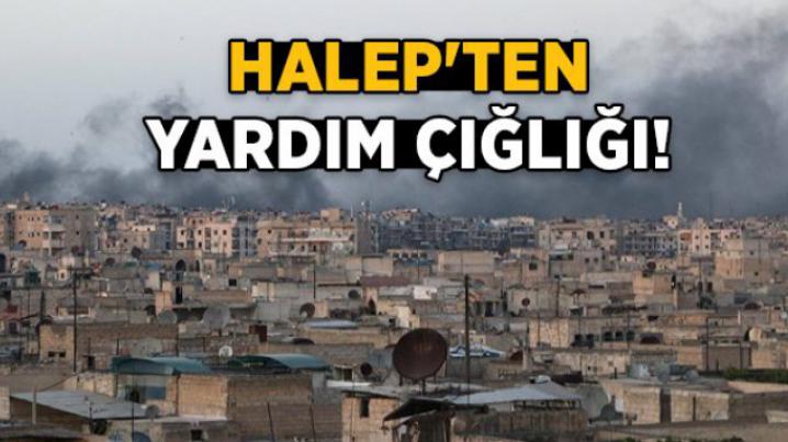 Halep in Yardm ars